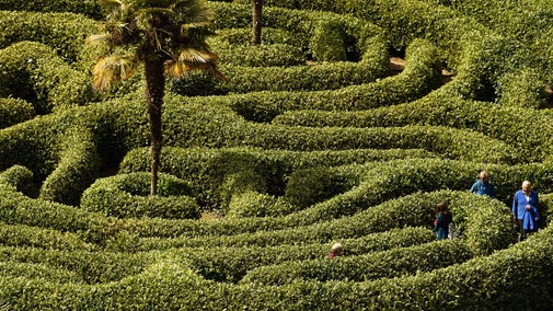 Visitors exploring the maze at Glendurgan Garden, Cornwall